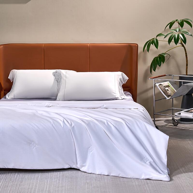 Mercury Home Textiles DH Yunxiu Zhimian Class A Silk Quilt