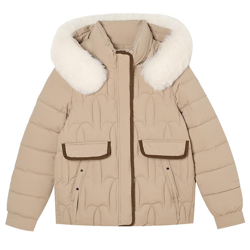 New cotton-padded clothes women's short autumn and winter jackets, large fur collar removable hat, warm cotton-padded clothes, foreign style fashionab