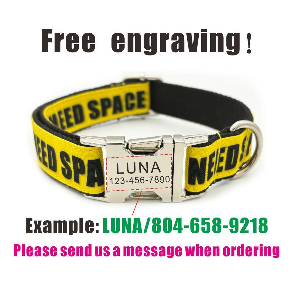 Personalized Pet Collar Warning Sign DO NOT PET I Need Space Custom Puppy Cat Name ID Tag Adjustable Basic Dog Collars 7