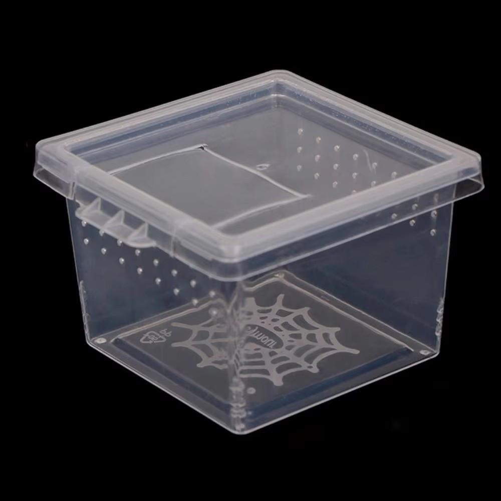 Klare Kunststoff-Reptilien-Lebensbox Insektenzucht Futterfütterung Reptilien-Lebensraum Baumbewohnend Ausbruchsicher Reptilien-Terrarium