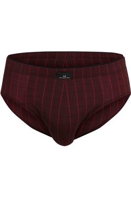 Gotzburg Slip Briefs (92688)