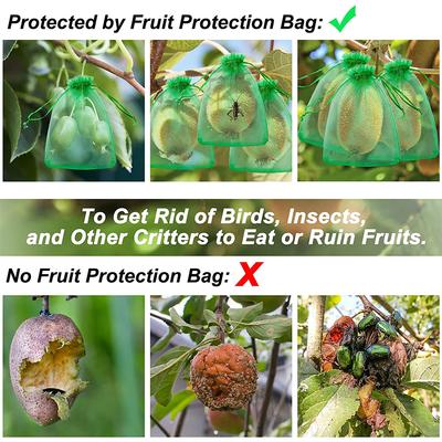 100 יחידות שקיות הגנה לפירות עם שרוך להגנה על פירות וירקות