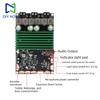 24V 2.1 Channel Bluetooth Karaoke Amplifier Board 2*50W + 100W TPA3116 Based Custom Bluetooth Amplifier Board Mobile App Tuning