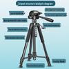 2024 Dual-Phone Professional Live Streaming Tripod for Outdoor Use