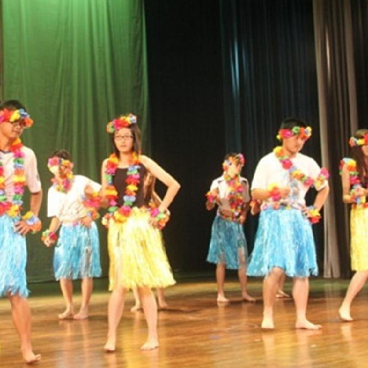 Hawaiian Luaus Hulas Grass Skirt with Large Flower Costume Set for Halloween Dances Party Decorations Hawaiian Costume
