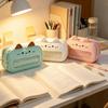 Cat Ear Design Pencil Case Transparent Window Stationery Organizer Cute Pen Bag Students