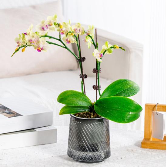 Self Watering Pots for Indoor Plants Small Plastic Planter Modern Wicking Flower Pot with Wick Rope And Reservoir for Violets Ocean