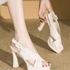 2025 Summer New Roman Women's Shoes Color Matching Hollow One-word Buckle High Heels Women's Thick Heel Waterproof Table Sandals