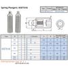 M4 M5 M6 M8 M10 M12 Spring Plungers with Round-ended Pin and 304 Stainless Hex Socket Screw Spring Pin