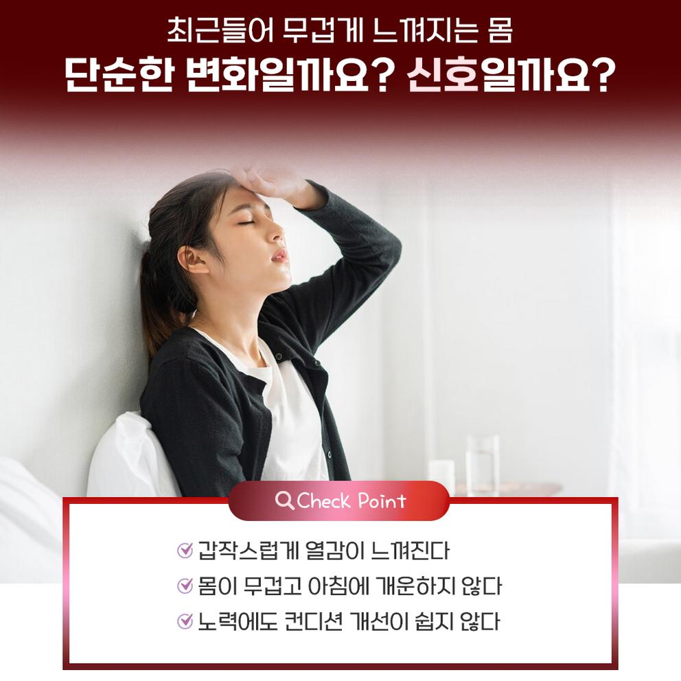 Rubyslin Pomegranate Extract Tablets for Women's Health, Menopause Relief, and Estrogen Balance, 90 Tablets, 3 Pack