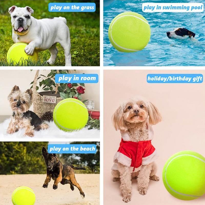 24cm Inflatable Tennis Ball: Festival Activity Gift & 9.5-Inch Pet Chew Toy