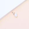 Electroplated Natural Shell Conch Scallop Pendant for DIY Necklace & Bracelet Jewelry