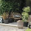 Plant pot Deroma