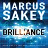 Brilliance by Marcus Sakey Paperback Book 9781611099690