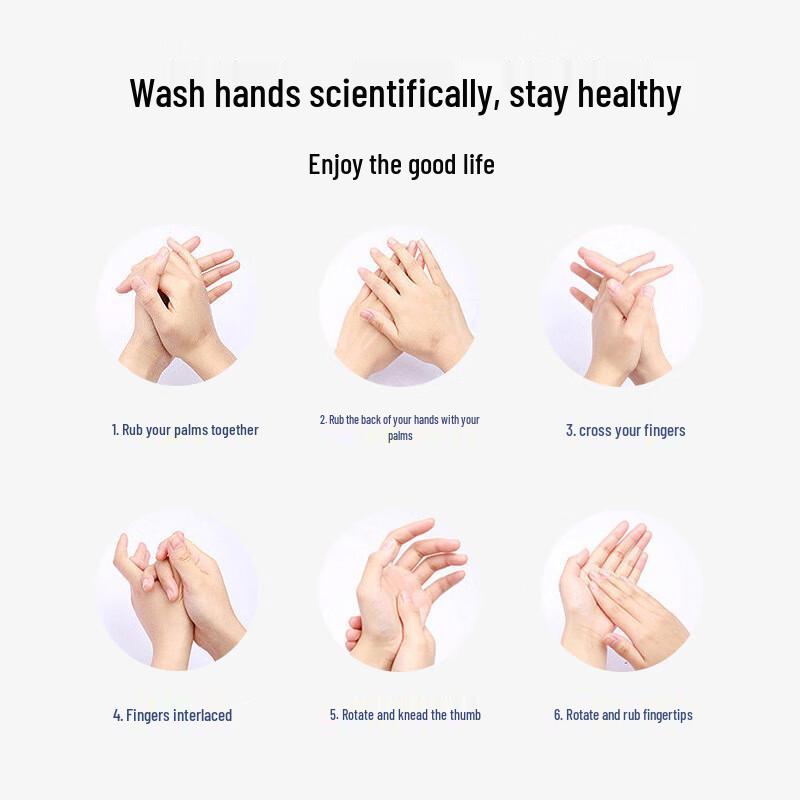 Jishiyijia Disinfecting Hand Sanitizer