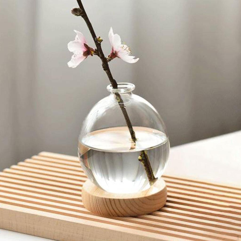 Hydroponic Plant Pot Bud Vase Home Desk Flowerpot Desktop Glass Planter for