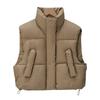 Winter women's loose versatile vest vest stand-up collar down cotton vest windproof Korean version short