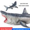 Marine Animal Model Toy Set: Great White, Hammerhead, Blue Shark & Megalodon
