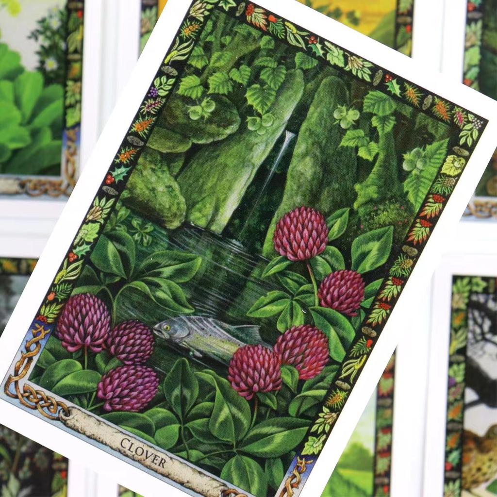 10.4*7.3cm Druidzka Roślinna Wyrocznia 36 Kart: Praca z magiczną florą tradycji druidzkiej