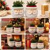 Christmas Santa Claus Face Mini Resin Planter Festive Holiday Succulent Pot Desktop Decor Gift