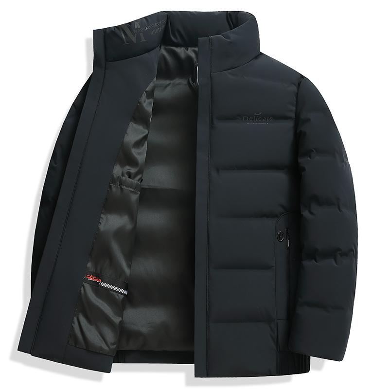 Stand-up Collar Down Jacket Autumn and Winter New Warm Business Casual Down Youth Jacket Men's Clothing