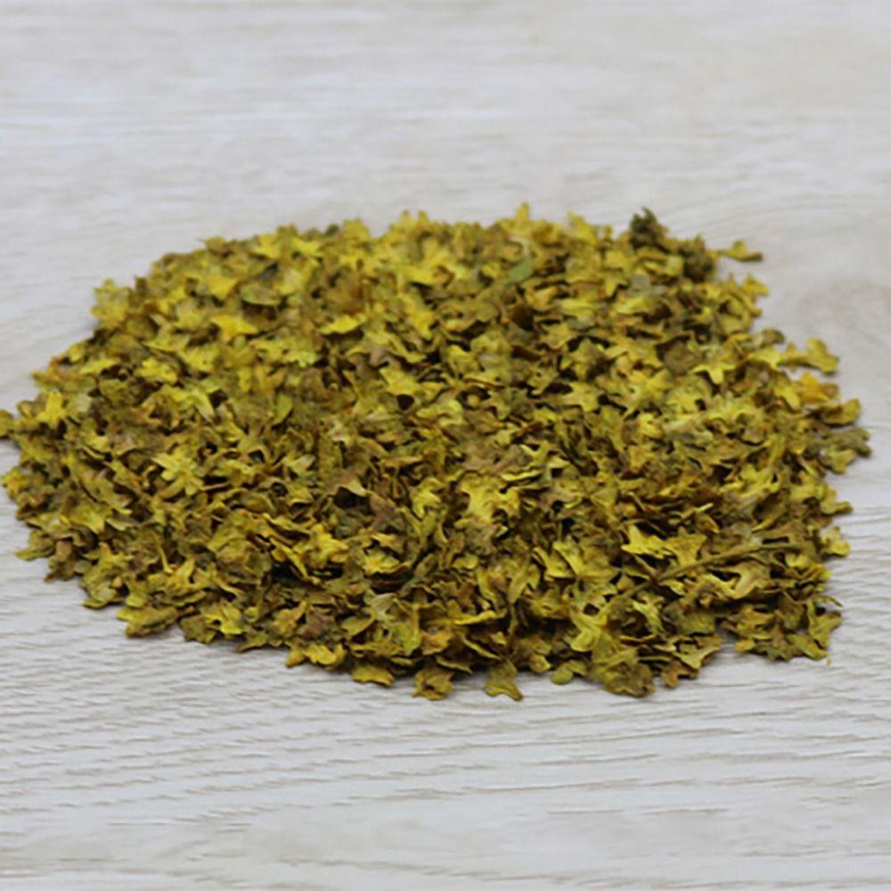 Novo Modelo de Folhas de Micropaisagem DIY Madeira Tufo de Grama de Alta Fidelidade Acessórios Folha em Miniatura Adulto