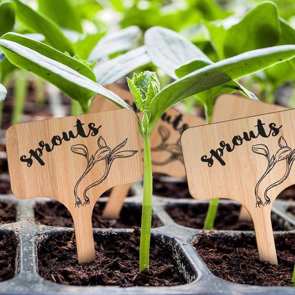 10/20 Stück T-förmige Bambus-Pflanzenetiketten Umweltfreundliche Holz-Gartenmarkierer für Bonsai Topfkräuter Blumen - Pflanzenkennzeichnungs-Etiketten Werkzeug