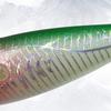 Assorted Color Round Belly Fishing Baits 3D Artificial Fishing Squid Jig Lures with Shrimp Designs for Effective Fishing