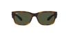 Sunglasses RB4388 Ray-Ban