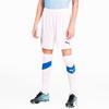 Puma Sports Shorts Men's White Moderate 757110-04