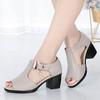 Shoes for Women 2025 Summer New Roman Women's Coarse Heel Middle Heel Women's Shoes Middle aged Mom Sandals