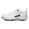 Air Jordan 12 Low Golf 'Masters' Jordan DM0106-117
