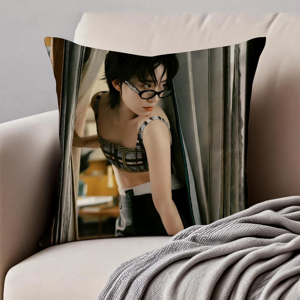Popular fashionable Chinese singer DDanyLee Cushion Cover Pillowcase Antidustmite Invisible Zipper Short Plush Sofa Cushion