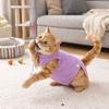 Elastic Cat Recovery Suit Washable Soft Breathable Anti-Licking Bodysuit Adjustable Protective Pet Sterilization Suit