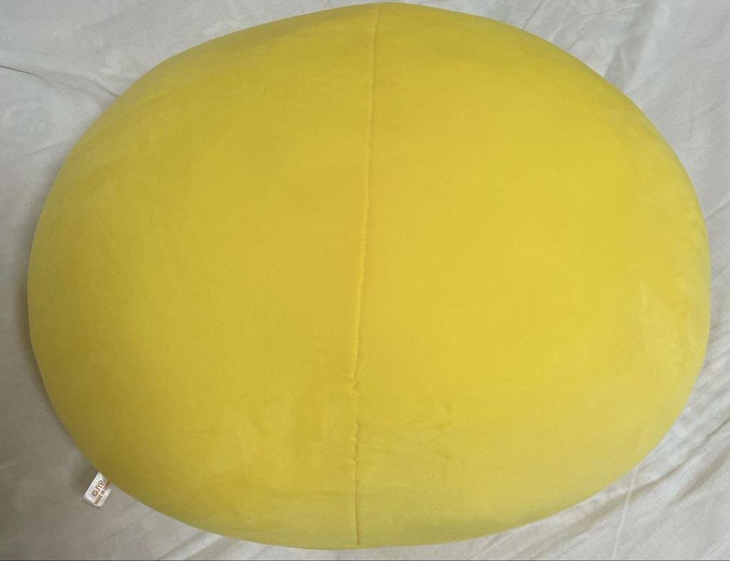 [USED] Straykids Pogari Cushion