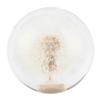 2.8in Shift Knob Crystal Real Dandelions Flowers Universal Accessory with 3 Thread Adapter