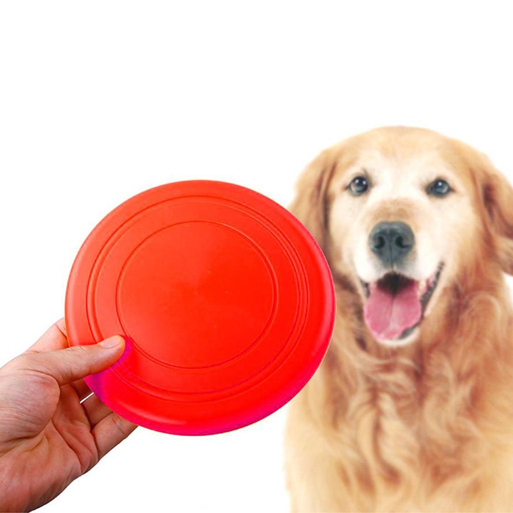 dog rubber frisbee