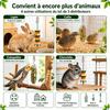 3pcs Interactive Rat Enrichment Toys Non-Toxic Bird Foraging Toy Rodent Slow Feeder  Pet Supplies