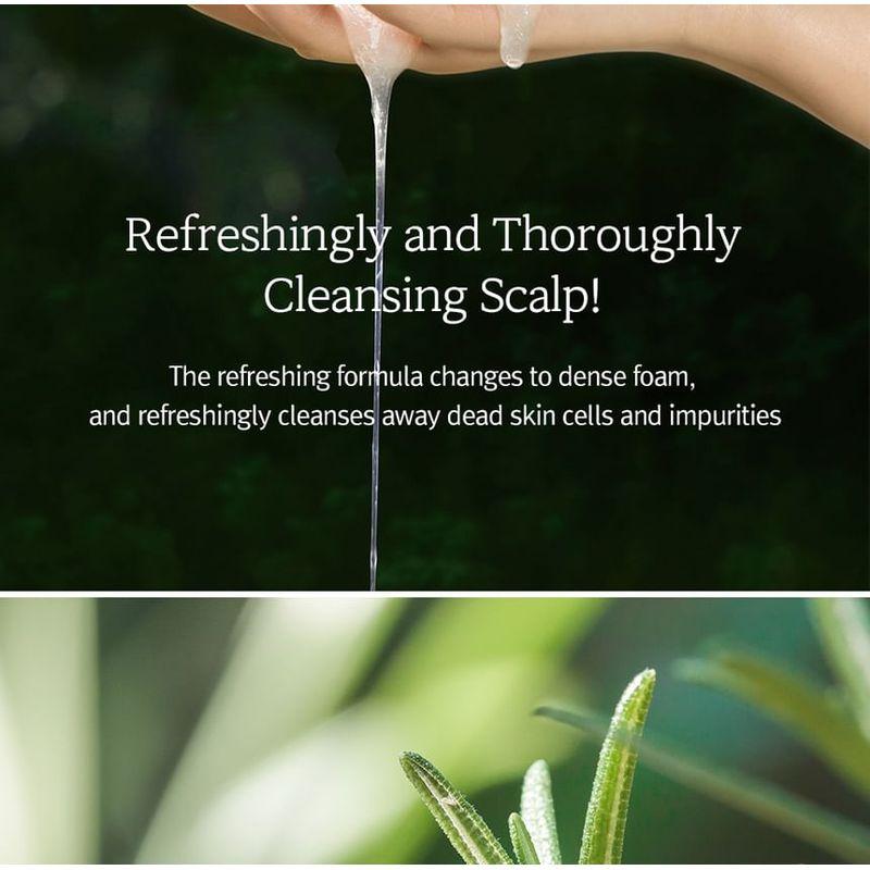 Nard Cooling Hair Loss Care Shampoo