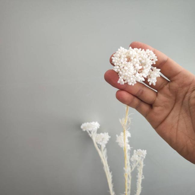 Bleached White Rice Flower & Millet Flower Dried Bouquet for Home Decor & DIY Crafts