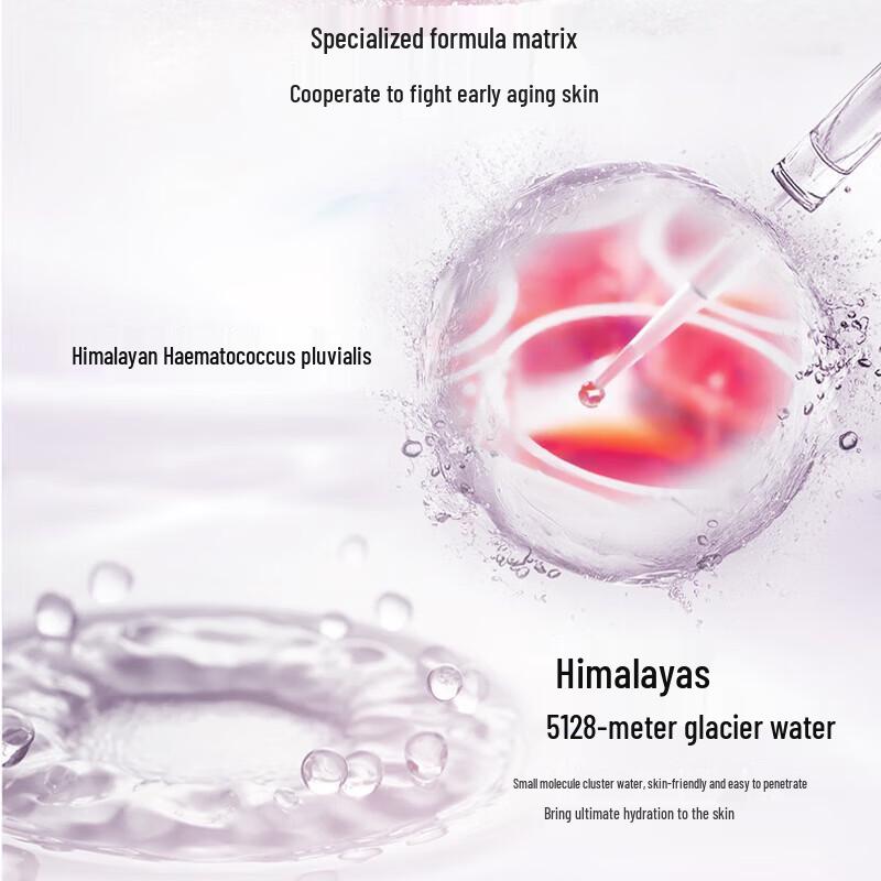 CHANDO Anti-Aging Essence Skincare Set