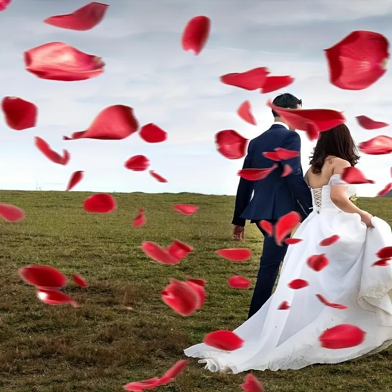 1,76 oz Premium Natürliche Getrocknete Rote Rosenblätter - Perfekt für Hochzeiten, Kerzen- und Seifenherstellung, DIY-Bastelarbeiten