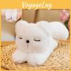 Cute And Soft Stuffed Animal Toy Cartoon Husky Capybara Fox And Panda Characters 25cm Height