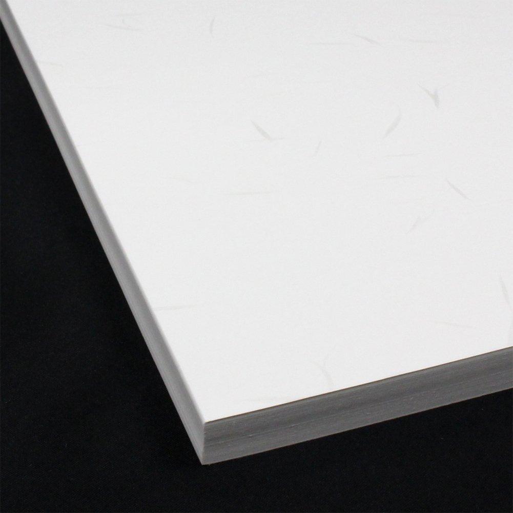 KOKUYO PPC Washi Paper, A4, White, KB-W119W