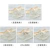 Cute A-class baby cotton antibacterial crotch mid waist women's underwear with cute little puppy