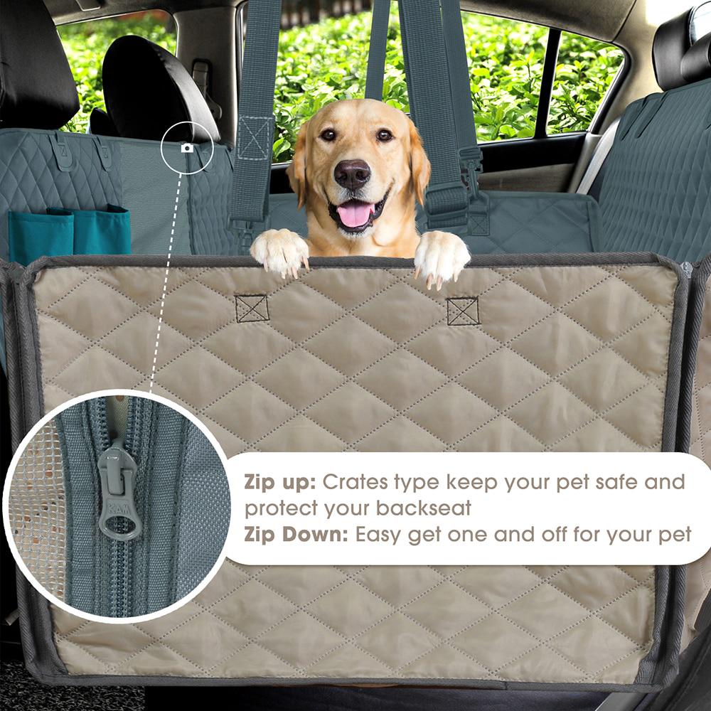 keep dog in backseat