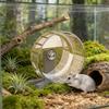Hamster Exercise Wheel with Stand Large Running Wheel for Syrian Hamsters & Gerbils Pet Toy Cage Accessory