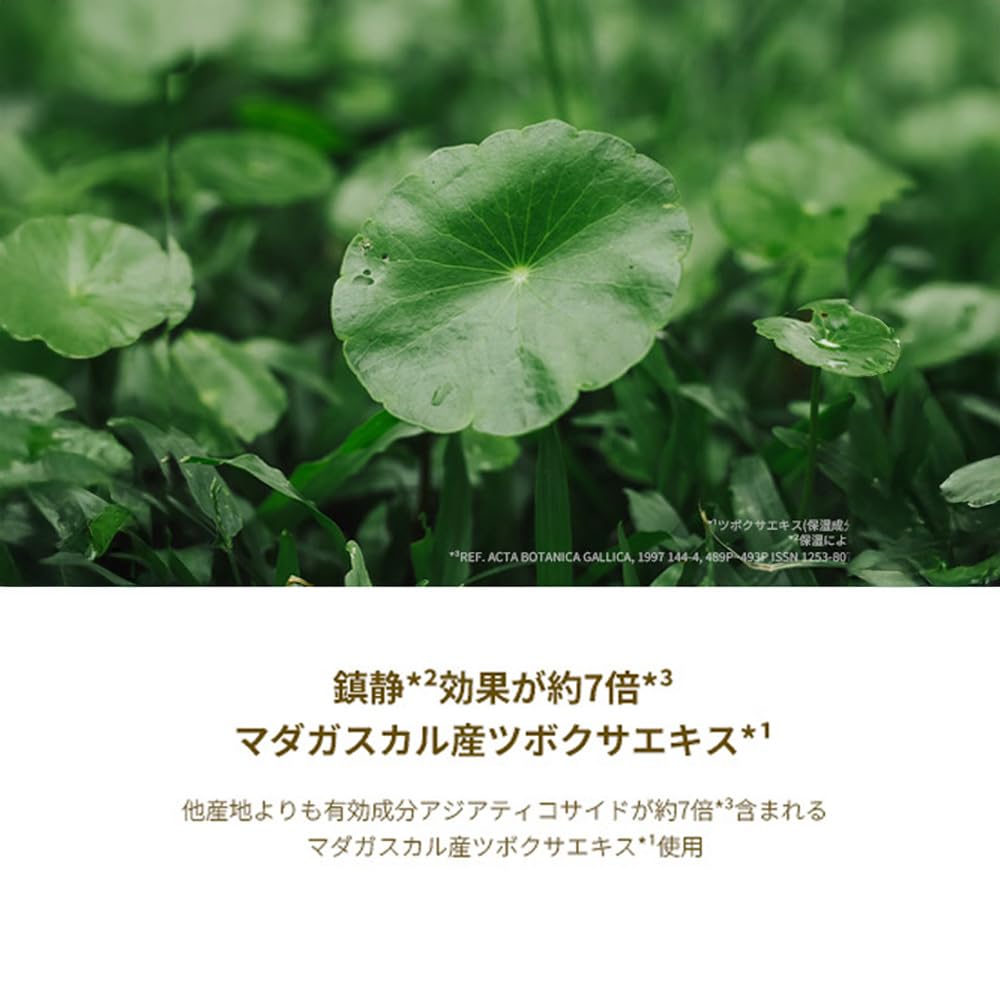SKIN1004 Centella Ampoule / Serum (55ml) / Korean Serum, Korean Cosmetics [Official/Authentic]