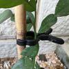 Plastic Garden Clips Plant Support Clamps for Vegetables and Flowers