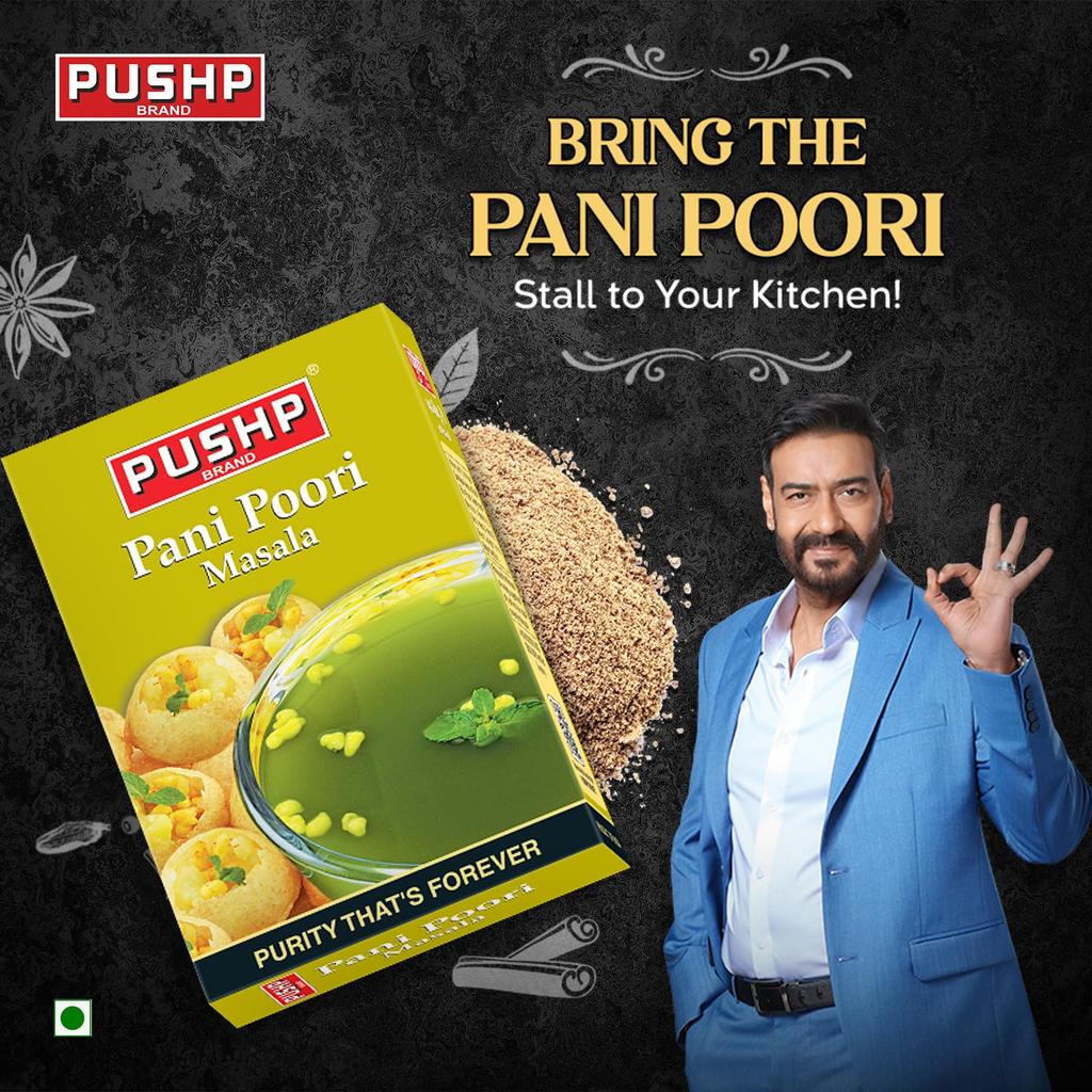 Pushp Panipuri Masala Tangy Spicy Mint Tamarind Spice Mix for Authentic Indian Street Style Pani Puri 50g Pack of 10
